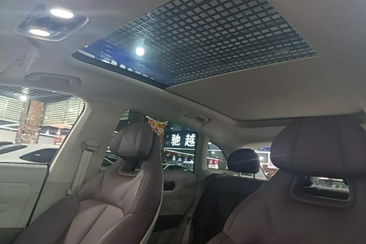 Used Leapmotor C11 2023 Pure Electric 500 Smart Edition Headliner
