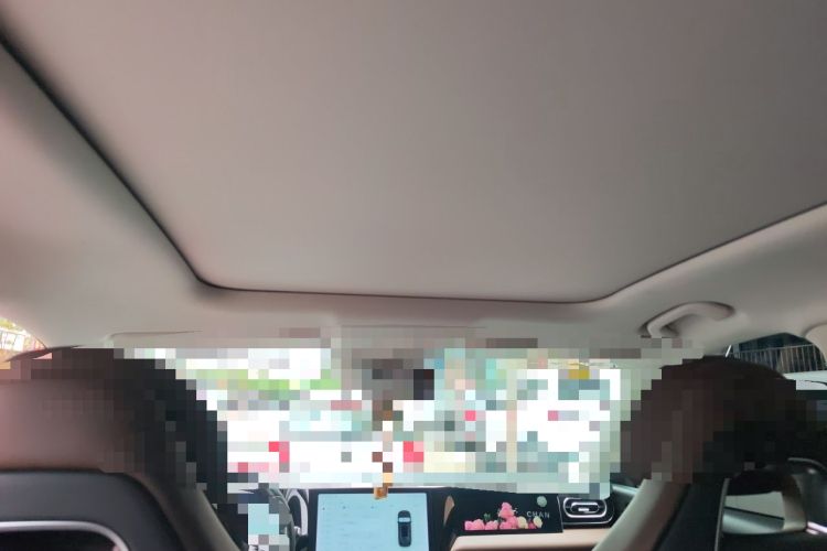 Used Leapmotor C11 2023 Range-Extended 200 Comfort Edition Headliner