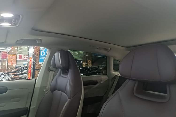 Used Leapmotor C11 2023 Pure Electric 500 Smart Edition Headliner