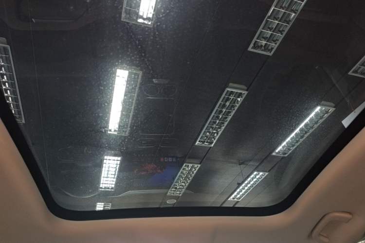 Used Leapmotor C11 2023 Pure Electric 500 Comfort Edition Headliner