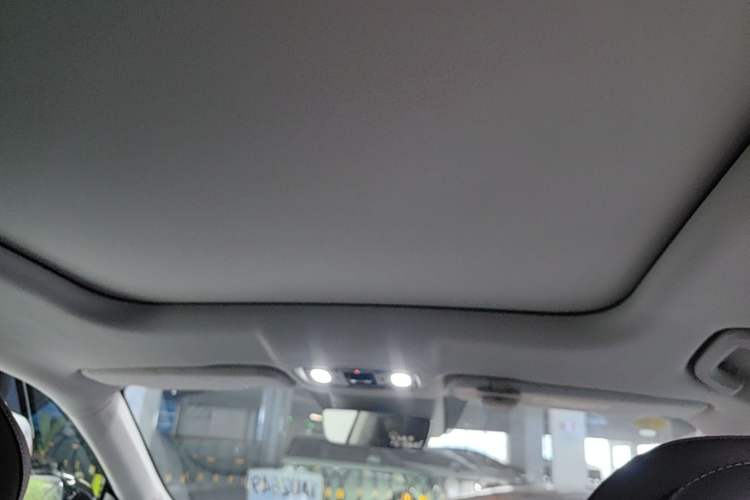 Used Leapmotor C11 2023 Pure Electric 500 Comfort Edition Headliner
