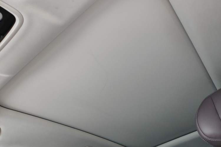 Used Leapmotor C11 2023 Extended-Range 285 Comfort Edition Headliner