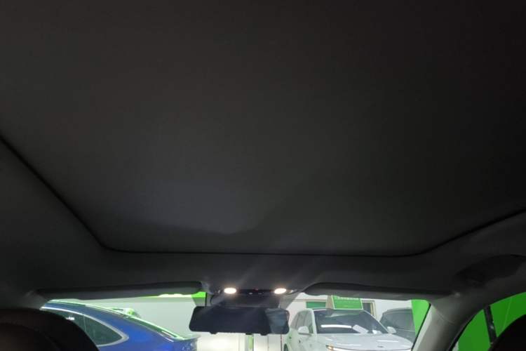 Used Leapmotor C11 2023 Pure Electric 500 Comfort Edition Headliner