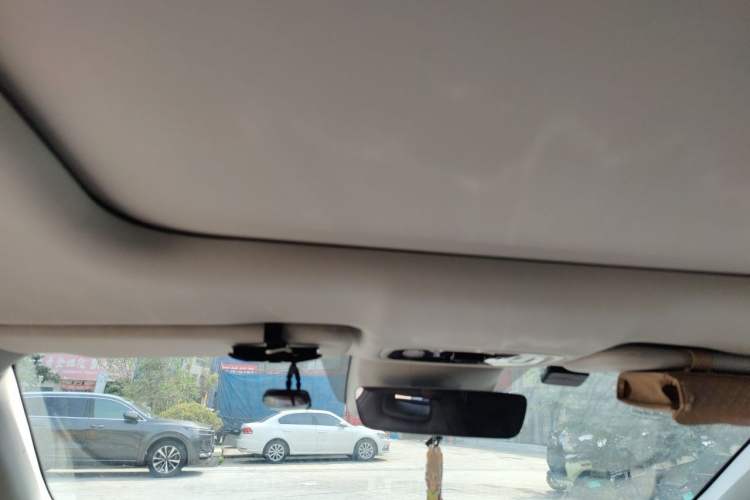 Used Leapmotor C11 2023 Range-Extended 300 Comfort Edition Headliner