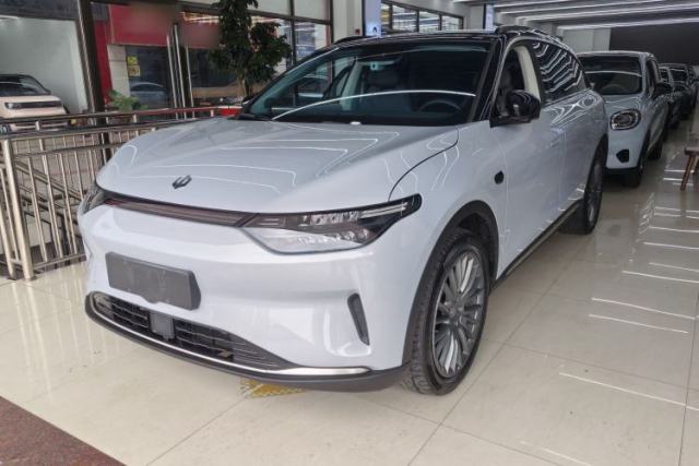 Used Leapmotor C11 2023 Pure Electric 500 Comfort Edition
