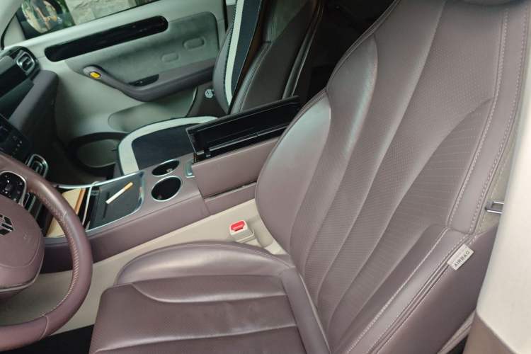 Used Leapmotor C11 2023 Pure Electric 500 Comfort Edition Left Front Seat
