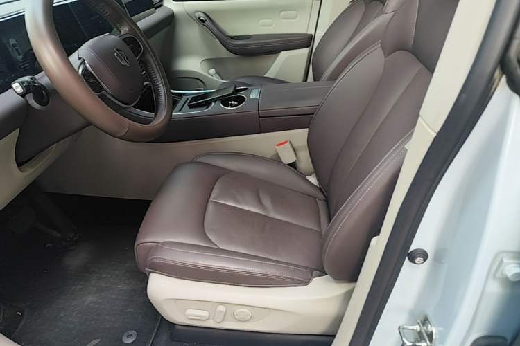 Used Leapmotor C11 2023 Range-Extended 300 Comfort Edition Left Front Seat