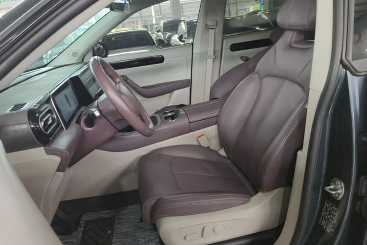 Used Leapmotor C11 2023 Pure Electric 500 Comfort Edition Left Front Seat