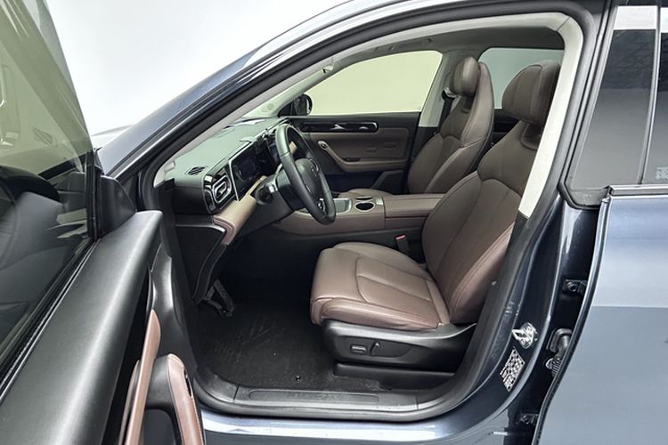 Used Leapmotor C11 2023 Pure Electric 500 Comfort Edition Left Front Seat