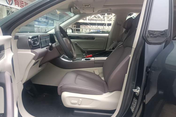 Used Leapmotor C11 2023 Pure Electric 500 Comfort Edition Left Front Seat