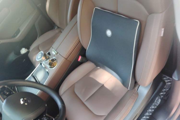 Used Leapmotor C11 2023 Pure Electric 500 Smart Edition Left Front Seat