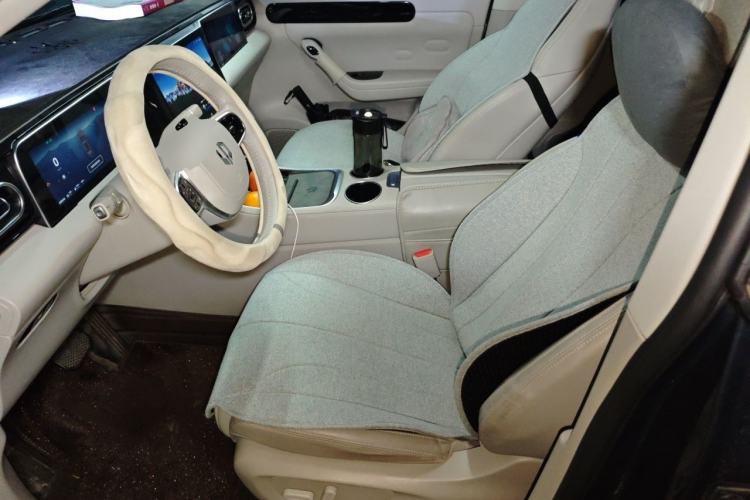 Used Leapmotor C11 2023 Extended-Range 285 Comfort Edition Left Front Seat