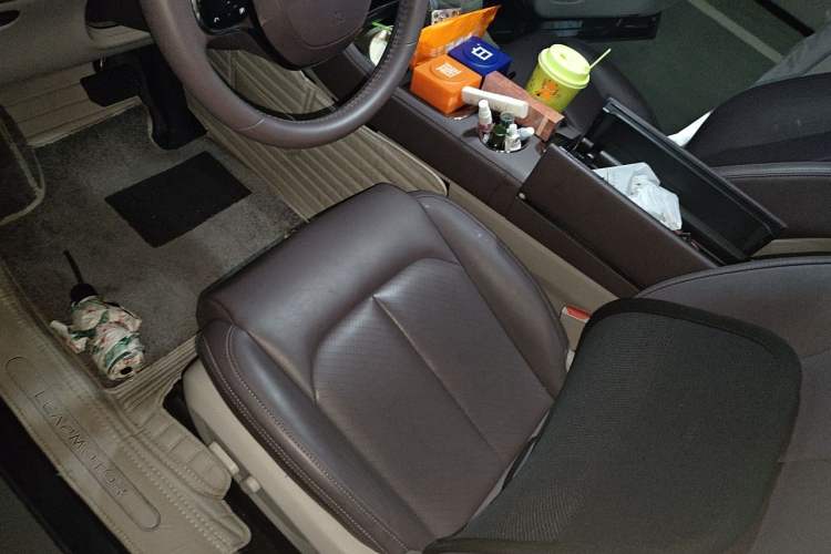 Used Leapmotor C11 2023 Range-Extended 300 Smart Enjoyment Edition Left Front Seat