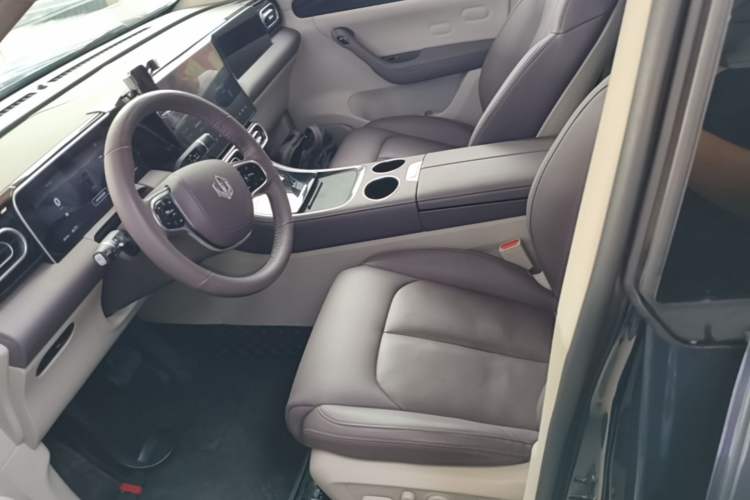 Used Leapmotor C11 2023 Pure Electric 500 Comfort Edition Left Front Seat