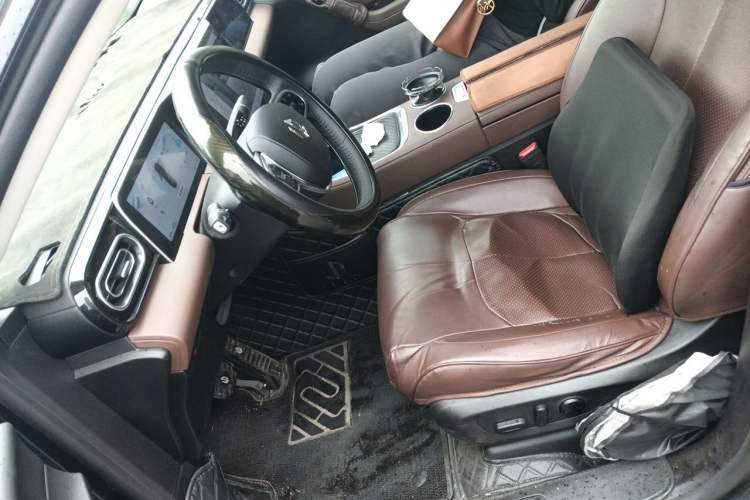Used Leapmotor C11 2023 Pure Electric 500 Comfort Edition Left Front Seat