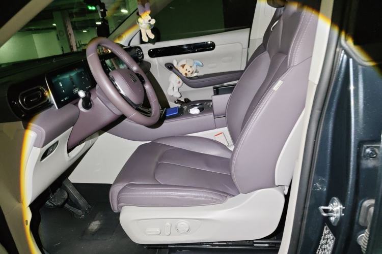 Used Leapmotor C11 2023 Pure Electric 500 Comfort Edition Left Front Seat