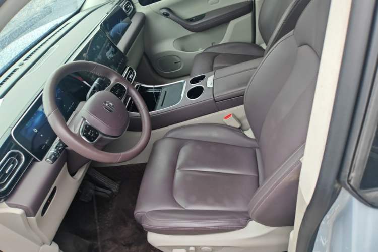 Used Leapmotor C11 2023 Pure Electric 500 Comfort Edition Left Front Seat