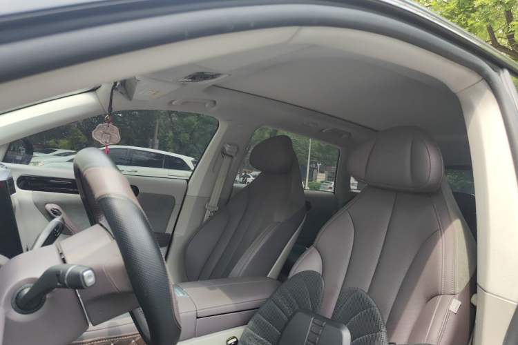 Used Leapmotor C11 2023 Range-Extended 180 Comfort Edition Left Front Seat