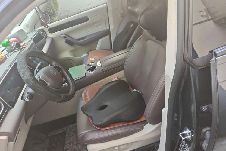 Used Leapmotor C11 2023 Pure Electric 500 Zhixing Edition Left Front Seat