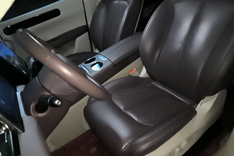 Used Leapmotor C11 2023 Pure Electric 500 Comfort Edition Left Front Seat