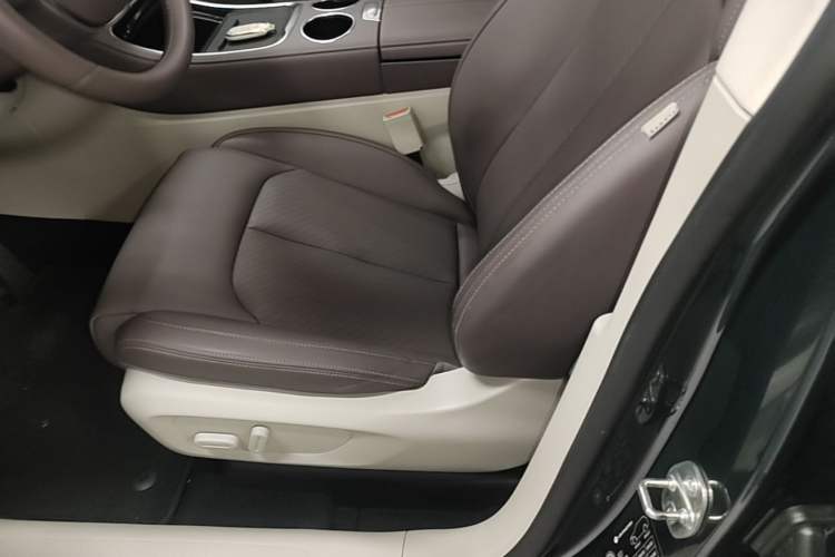Used Leapmotor C11 2023 Range-Extended 200 Comfort Edition Left Front Seat