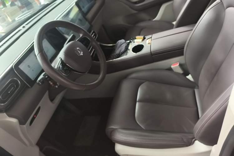 Used Leapmotor C11 2023 Pure Electric 500 Smart Edition Left Front Seat