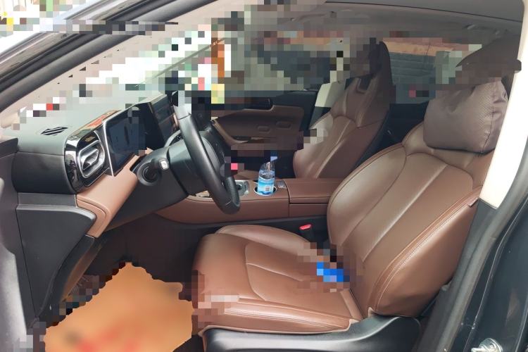 Used Leapmotor C11 2023 Range-Extended 200 Comfort Edition Left Front Seat