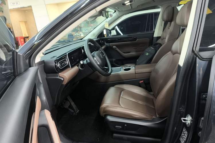 Used Leapmotor C11 2023 Range-Extended 180 Comfort Edition Left Front Seat