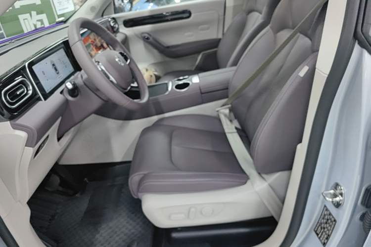 Used Leapmotor C11 2023 Pure Electric 500 Comfort Edition Left Front Seat