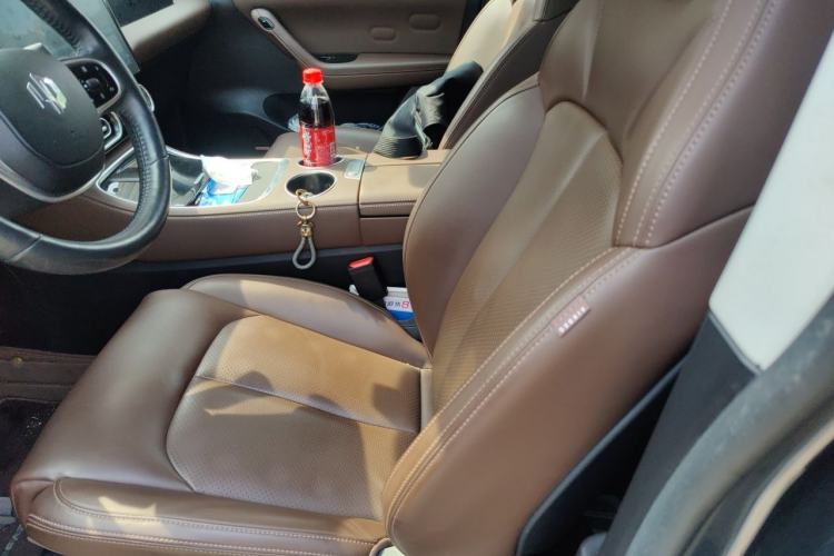 Used Leapmotor C11 2023 Range-Extended 300 Comfort Edition Left Front Seat