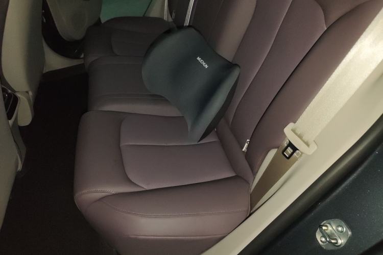 Used Leapmotor C11 2023 Range-Extended 200 Comfort Edition Left Rear Seat