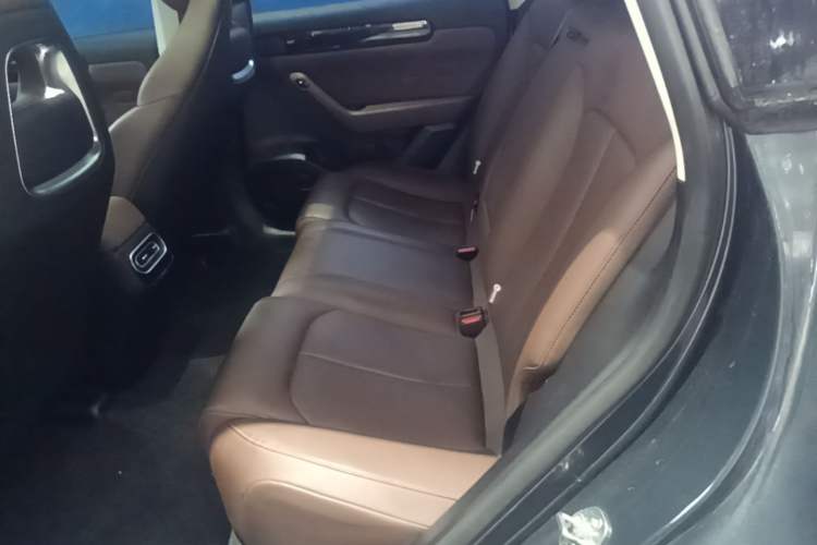 Used Leapmotor C11 2023 Range-Extended 300 Comfort Edition Left Rear Seat