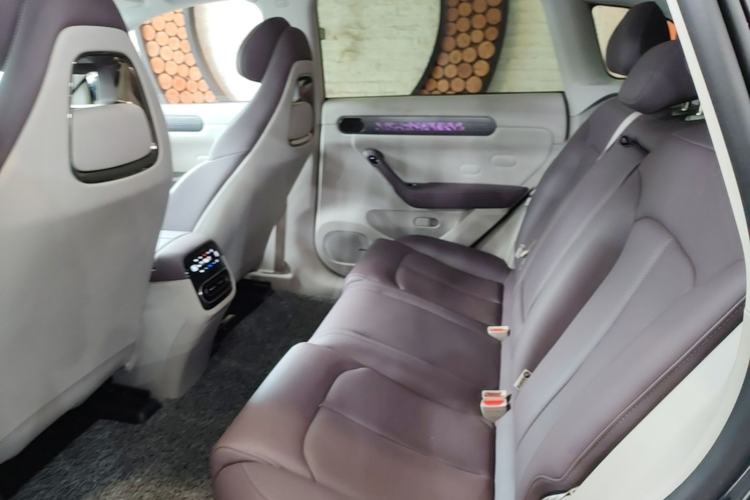 Used Leapmotor C11 2023 Pure Electric 500 Smart Edition Left Rear Seat