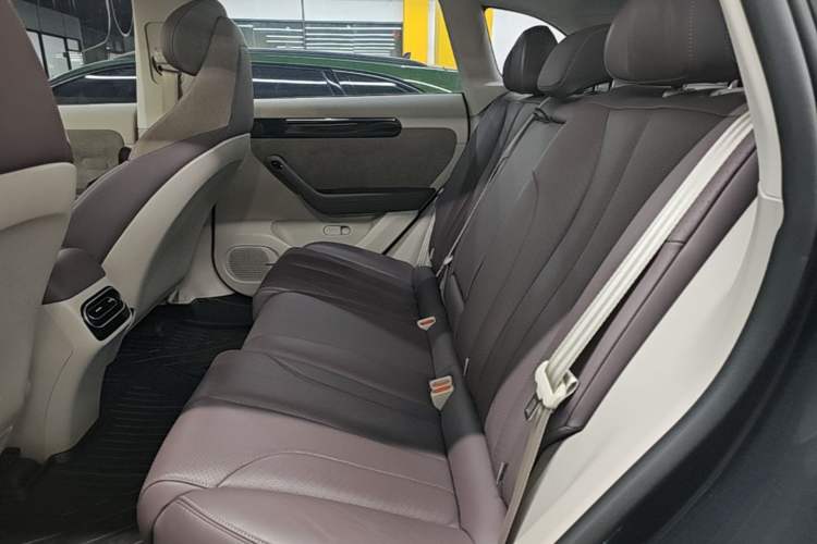 Used Leapmotor C11 2023 Range-Extended 180 Comfort Edition Left Rear Seat