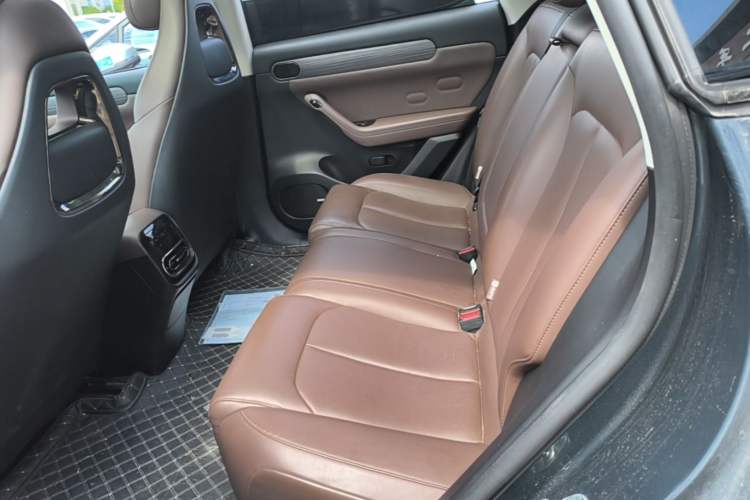 Used Leapmotor C11 2023 Pure Electric 500 Smart Edition Left Rear Seat