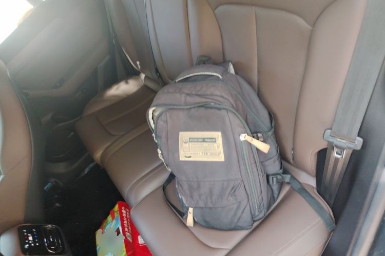 Used Leapmotor C11 2023 Pure Electric 500 Smart Edition Left Rear Seat