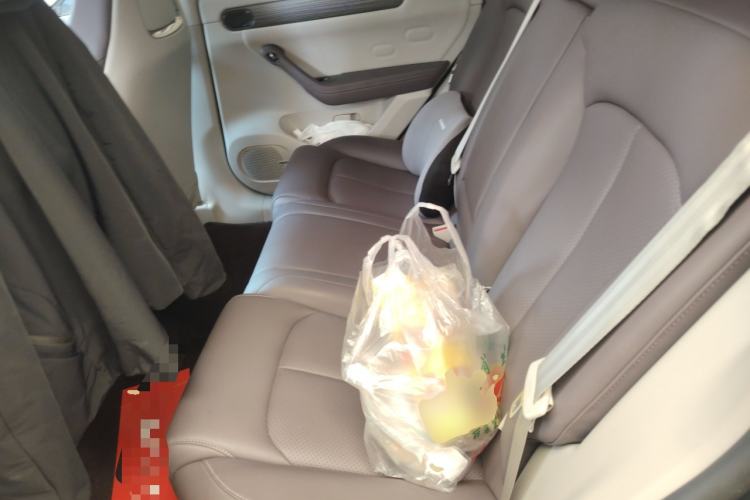 Used Leapmotor C11 2023 Pure Electric 500 Smart Edition Left Rear Seat