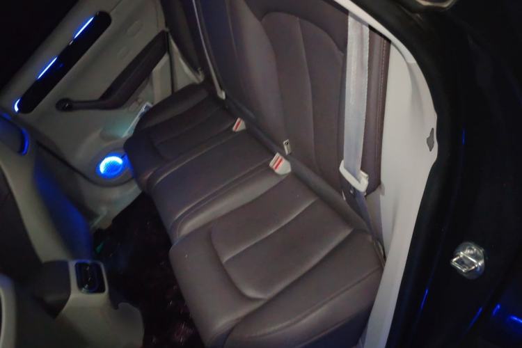 Used Leapmotor C11 2023 Range-Extended 300 Comfort Edition Left Rear Seat