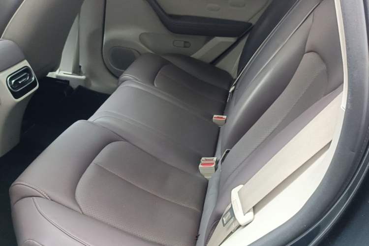 Used Leapmotor C11 2023 Range-Extended 200 Comfort Edition Left Rear Seat