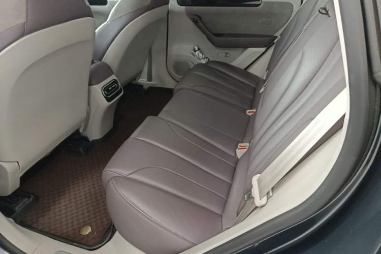 Used Leapmotor C11 2023 Range-Extended 180 Comfort Edition Left Rear Seat