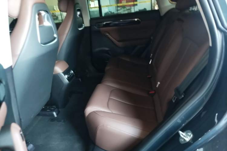 Used Leapmotor C11 2023 Pure Electric 500 Comfort Edition Left Rear Seat