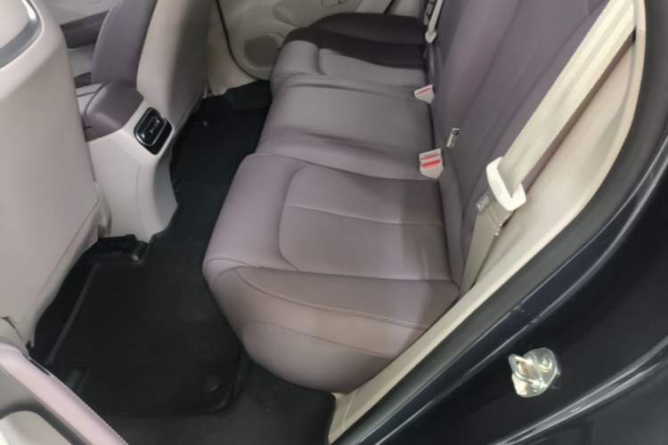 Used Leapmotor C11 2023 Extended-Range 285 Comfort Edition Left Rear Seat