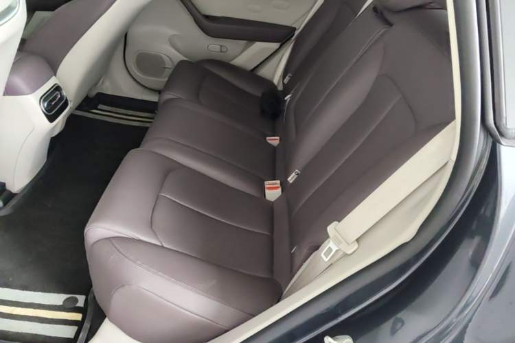 Used Leapmotor C11 2023 Pure Electric 500 Smart Edition Left Rear Seat