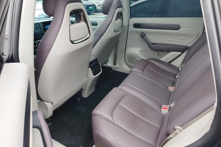 Used Leapmotor C11 2023 Pure Electric 500 Smart Edition Left Rear Seat