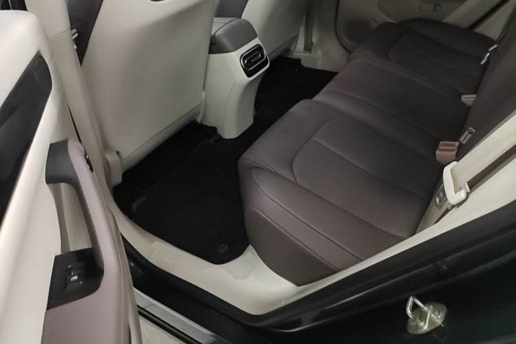 Used Leapmotor C11 2023 Range-Extended 200 Comfort Edition Left Rear Seat