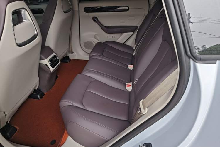 Used Leapmotor C11 2023 Range-Extended 200 Comfort Edition Left Rear Seat