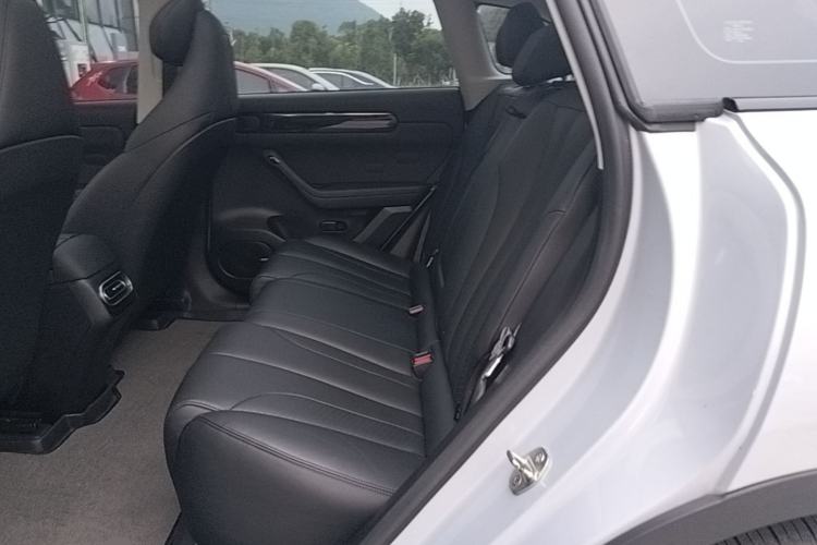 Used Leapmotor C11 2023 Pure Electric Executive Edition Left Rear Seat