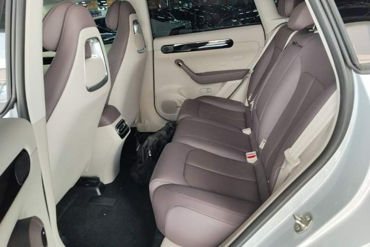 Used Leapmotor C11 2023 Range-Extended 200 Comfort Edition Left Rear Seat