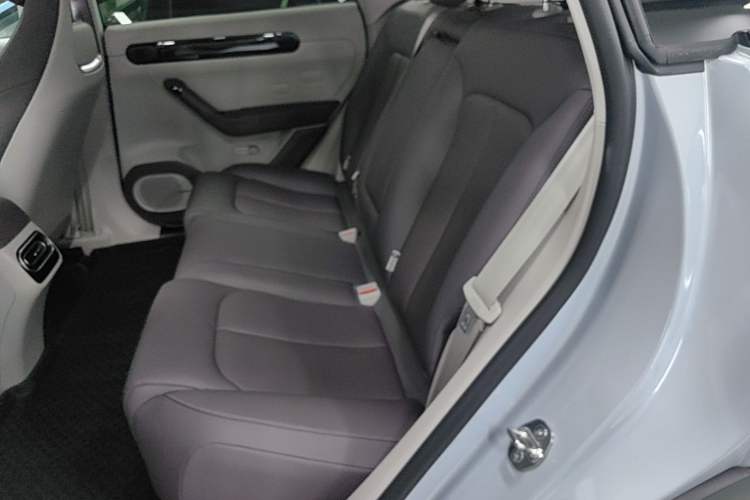 Used Leapmotor C11 2023 Pure Electric 500 Comfort Edition Left Rear Seat