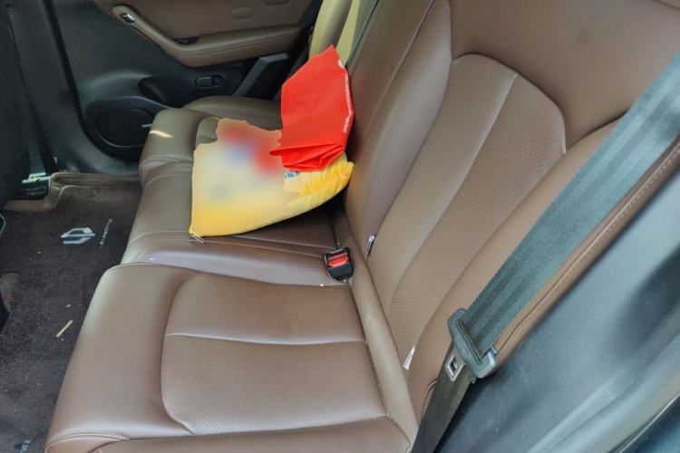 Used Leapmotor C11 2023 Range-Extended 300 Comfort Edition Left Rear Seat